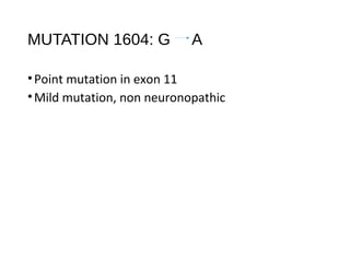 MUTATION 1604: G A
•Point mutation in exon 11
•Mild mutation, non neuronopathic
 