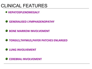 CLINICAL FEATURES
HEPATOSPLENOMEGALY
GENERALISED LYMPHADENOPATHY
BONE MARROW INVOLVEMENT
TONSILS,THYMUS,PAYER PATCHES ENLARGED
LUNG INVOLVEMENT
CEREBRAL INVOLVEMENT
 