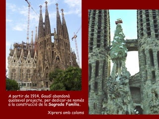 A partir de 1914, Gaudí abandonà
qualsevol projecte, per dedicar-se només
a la construcció de la Sagrada Família.

                    Xiprers amb coloms
 