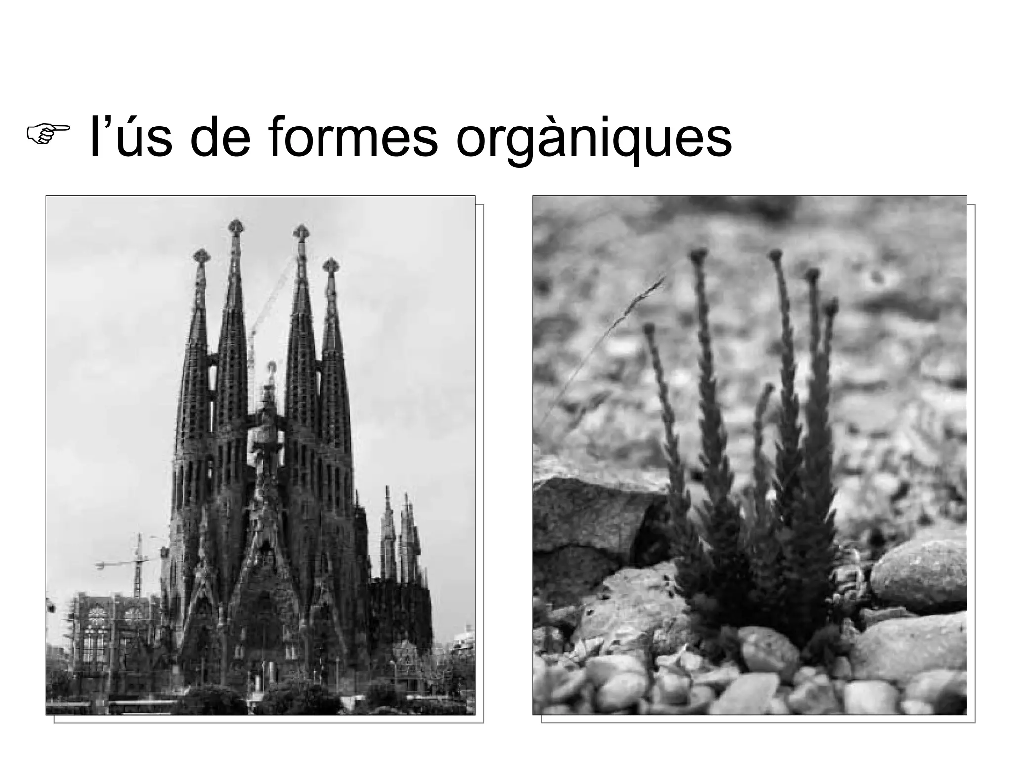    l’ús de formes orgàniques 