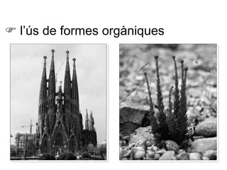    l’ús de formes orgàniques 