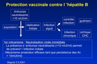 Protection vaccinale contre l ’hépatite B exposition réplication initiale Infection aiguë contrôle infection Infection chronique guérison cirrhose CHC 1er mécanisme  :  Neutralisation virale immédiate . La présence d ’anticorps neutralisants (>10 mUI/ml) permet  de prévenir l ’infection initiale . Mécanisme protecteur efficace tant que persistance des Ac  > 10mUI/ml) Siegrist 2.5.2001 Anticorps neutralisants >10 mUI/ml 
