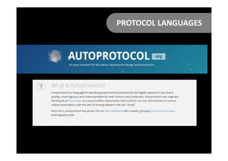 PROTOCOL LANGUAGES
 
