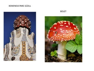 XEMENEIA PARC GÜELL
BOLET
 