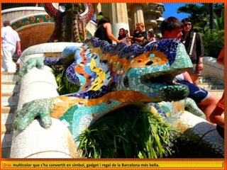Drac multicolor que s'ha convertit en símbol, gadget i regal de la Barcelona més bella.
 