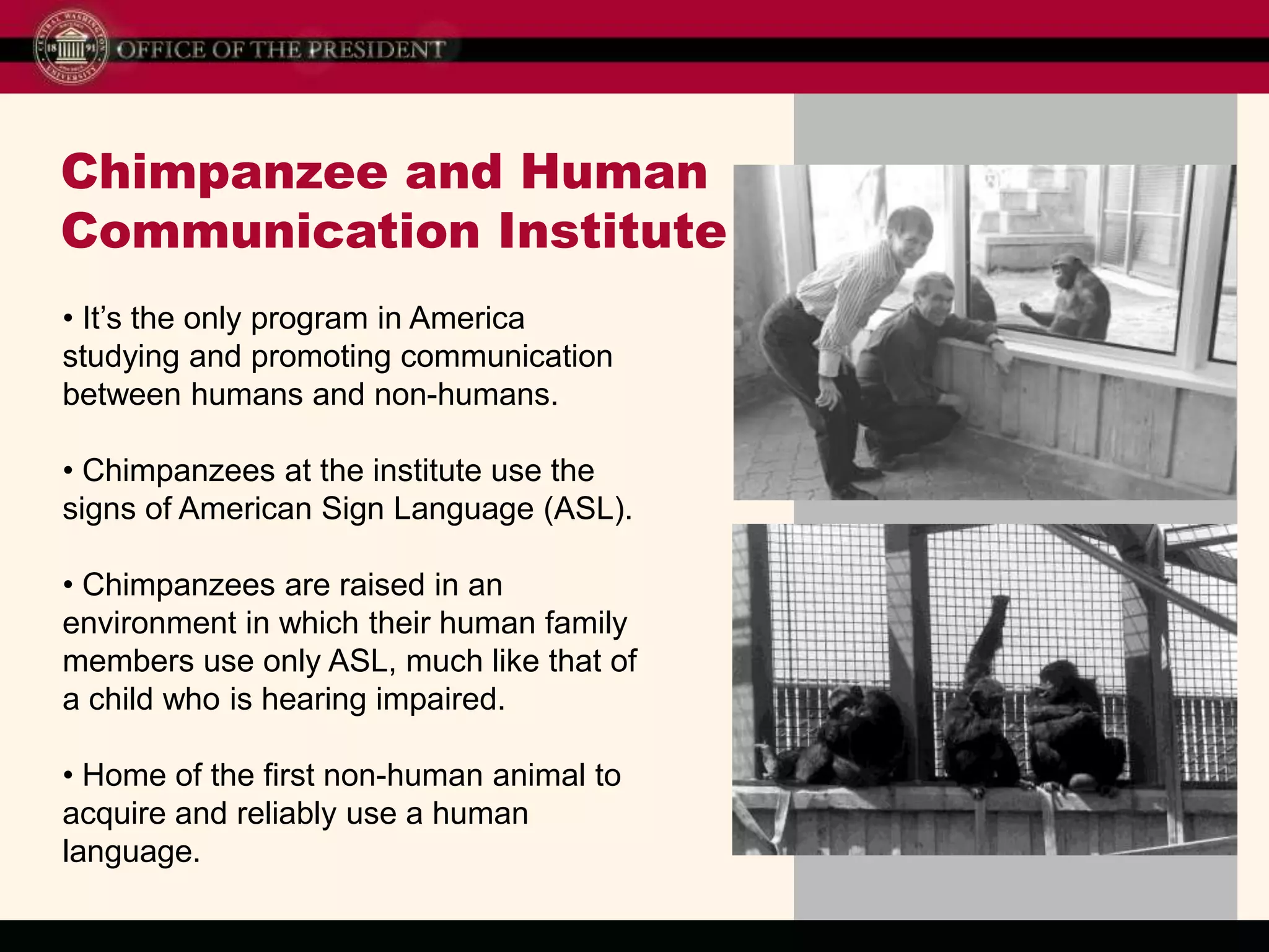 Programs unlike any others in the NorthwestCWU is the only place in the Northwest to earn degrees in aviation, sports marketing, wine studies, musical theater, paramedicine, and more. 