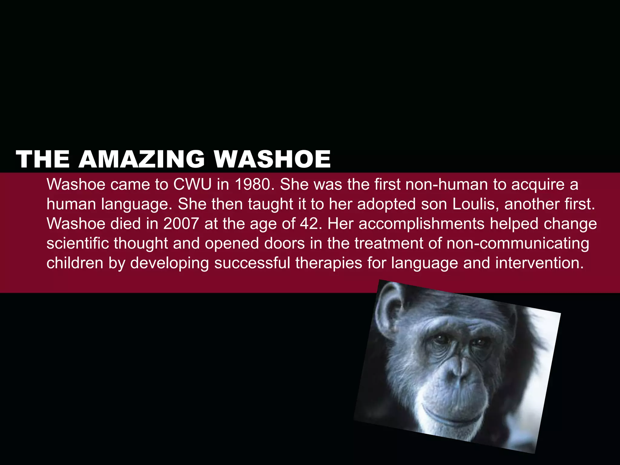 College of Business Is among the top 5 percent of business schools in the world to earn accreditation from the Association to Advance Collegiate Schools of Business 