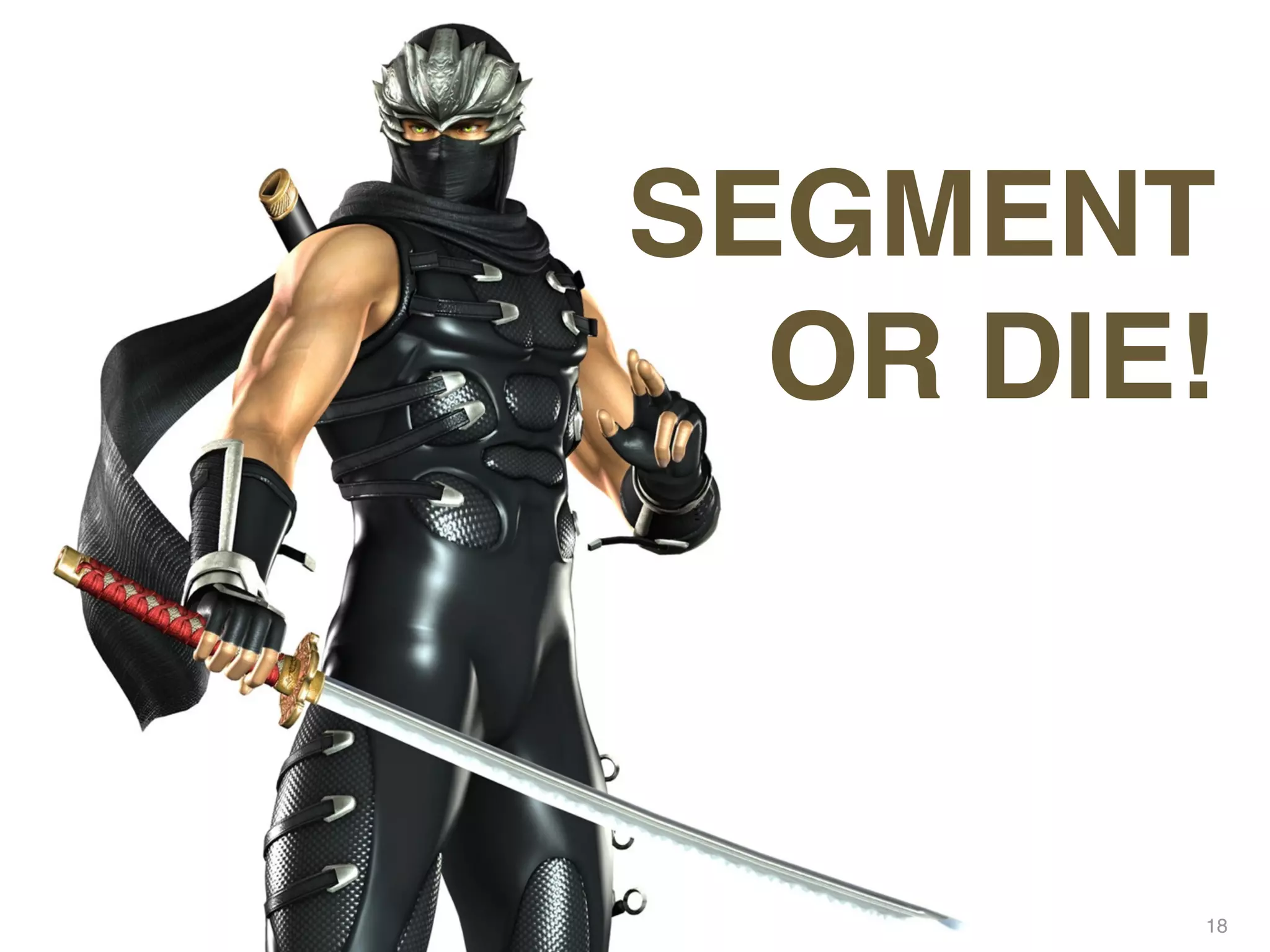 SEGMENT
  OR DIE!



        18
 