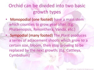 Orchid can be divided into two basic
growth types
• Monopodial (one footed) have a main stem
which counties to grow year after. (Eg.
Phalaenopsis, Renonthera, Vanda, etc.)
• Sympodial (many footed) The Plant produces
a series of adjacement shoots which grow to a
certain size, bloom, then stop growing to be
replaced by the next growth. (Eg. Cattleya,
Cymbidium)
 