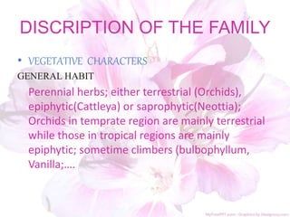 DISCRIPTION OF THE FAMILY
• VEGETATIVE CHARACTERS
GENERAL HABIT
Perennial herbs; either terrestrial (Orchids),
epiphytic(Cattleya) or saprophytic(Neottia);
Orchids in temprate region are mainly terrestrial
while those in tropical regions are mainly
epiphytic; sometime climbers (bulbophyllum,
Vanilla;….
 