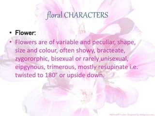 floral CHARACTERS
• Flower:
• Flowers are of variable and peculiar, shape,
size and colour, often showy, bracteate,
zygororphic, bisexual or rarely unisexual,
eipgynous, trimerous, mostly resupinate i.e.
twisted to 180° or upside down.
 
