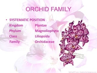 ORCHID FAMILY
• SYSTEMATIC POSITION
Kingdom Plantae
Phylum Magnoliophyta
Class Liliopsida
Family Orchidaceae
 