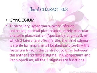 floral CHARACTERS
• GYNOECIUM
• Tricarpellary, syncarpous, ovary inferior,
unilocular, parietal placentation, rarely trilocular
and axile placentation (Apostasia); stigmas 3, of
which 2 lateral are often fertile, the third stigma
is sterile forming a small beaked outgrowth – the
rostellum lying in the centre of column between
the anther and fertile stigma. In Cypripedium and
Paphiopedium, all the 3 stigmas are functional.
 
