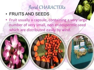 floral CHARACTERs
• FRUITS AND SEEDS
• Fruit usually a capsule, containing a very large
number of very small, non endospermic seed
which are distributed easily by wind.
 