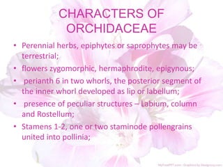 CHARACTERS OF
ORCHIDACEAE
• Perennial herbs, epiphytes or saprophytes may be
terrestrial;
• flowers zygomorphic, hermaphrodite, epigynous;
• perianth 6 in two whorls, the posterior segment of
the inner whorl developed as lip or labellum;
• presence of peculiar structures – Labium, column
and Rostellum;
• Stamens 1-2, one or two staminode pollengrains
united into pollinia;
 