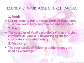 1. Food:
• During scarcity the tuberous roots of Habenaria
susannae and Orchis latifolia are used as food.
2. Flavor:
• The capsules of Vanilla planifolia V. fragrans yield
commercial ‘Vanilla’ a flavouring agent for
chocolate and confectionary.
3. Medicine:
• The root-stocks of Eulophia epidendraeas are
used as vermifage.
ECONOMIC IMPORTANCE OF ORCHIDACEAC
 
