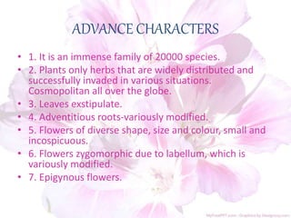 ADVANCE CHARACTERS
• 1. It is an immense family of 20000 species.
• 2. Plants only herbs that are widely distributed and
successfully invaded in various situations.
Cosmopolitan all over the globe.
• 3. Leaves exstipulate.
• 4. Adventitious roots-variously modified.
• 5. Flowers of diverse shape, size and colour, small and
incospicuous.
• 6. Flowers zygomorphic due to labellum, which is
variously modified.
• 7. Epigynous flowers.
 