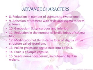 ADVANCE CHARACTERS
• 8. Reduction in number of stamens to two or one.
• 9. Adhesion of stamens with style and stigma to form-
column.
• 10. Gynoecium 3, syncarpous and inferior.
• 11. Reduction in the number of fertile lobes of stigma
to 2.
• 12. Modification of third sterile lobe of stigma into a
structure called restellum.
• 13. Pollen-grains are agglutinate into pollinia.
• 14. Fruit is a simple capsule.
• 15. Seeds non-endospermic, minute-and light in
weight.
 