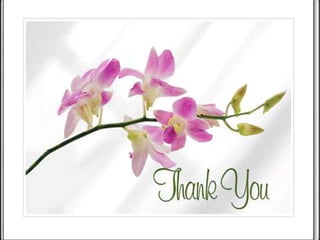 family orchidaceae ppt