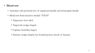 GA Upper limb.pptx