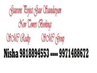 Nisha 9818894553 New Towers Gaur Saundaryam| Price List