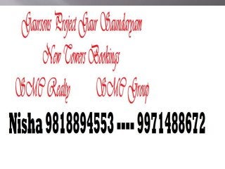 Nisha 9971488672 New Towers Gaur Saundaryam Price| Noida Extension