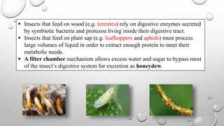 role of carbohydrade, lipids and water in insect digetion | PPTX