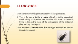 intra & extra cellular microorganism and their role in insect ...