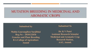 MUTATION BREEDING IN MEDICINAL AND
AROMATIC CROPS
Submitted To
Dr. K V Patel
Assistant Research Scientist
Medicinal and Aromatic Crop
Research Station,
AAU, Anand.
Submitted by
Mahla Gaurangiben Surjibhai
Reg.No – 2010122036
Genetics and Plant Breeding
B A College of Agriculture
Anand
 