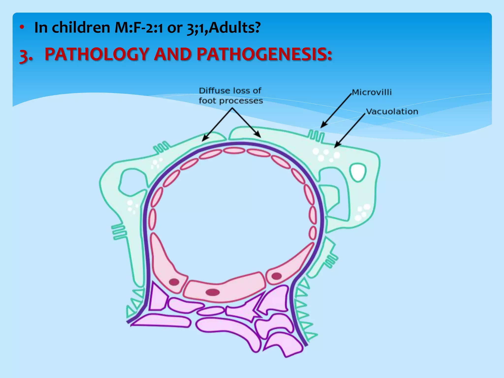• In children M:F-2:1 or 3;1,Adults?
3. PATHOLOGY AND PATHOGENESIS:
 
