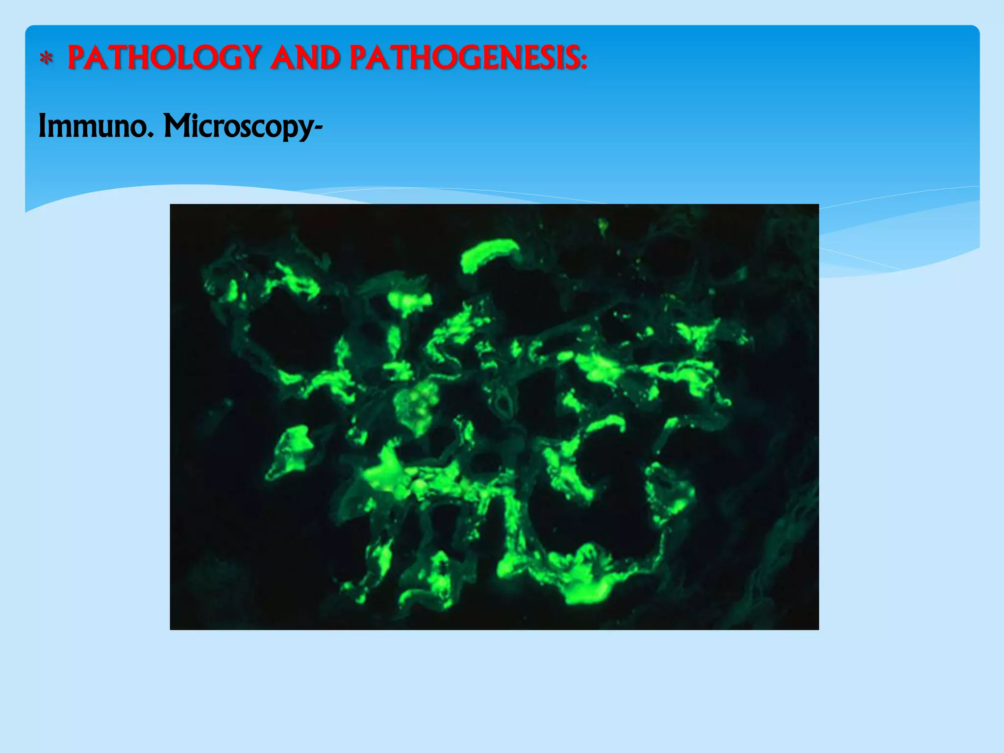  PATHOLOGY AND PATHOGENESIS:
Immuno. Microscopy-
 