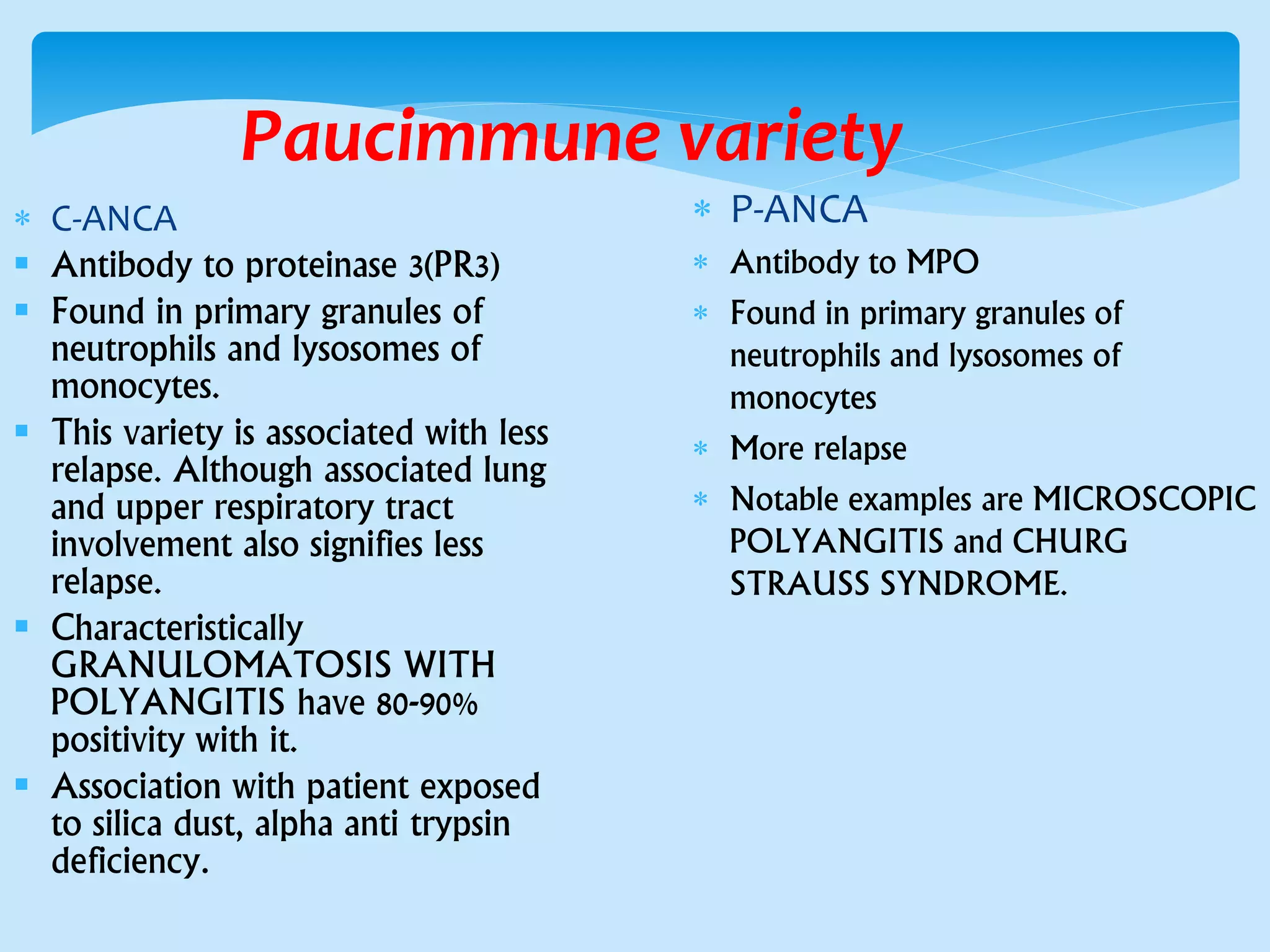 Paucimmune variety
 C-ANCA
 Antibody to proteinase 3(PR3)
 Found in primary granules of
neutrophils and lysosomes of
monocytes.
 This variety is associated with less
relapse. Although associated lung
and upper respiratory tract
involvement also signifies less
relapse.
 Characteristically
GRANULOMATOSIS WITH
POLYANGITIS have 80-90%
positivity with it.
 Association with patient exposed
to silica dust, alpha anti trypsin
deficiency.
 P-ANCA
 Antibody to MPO
 Found in primary granules of
neutrophils and lysosomes of
monocytes
 More relapse
 Notable examples are MICROSCOPIC
POLYANGITIS and CHURG
STRAUSS SYNDROME.
 