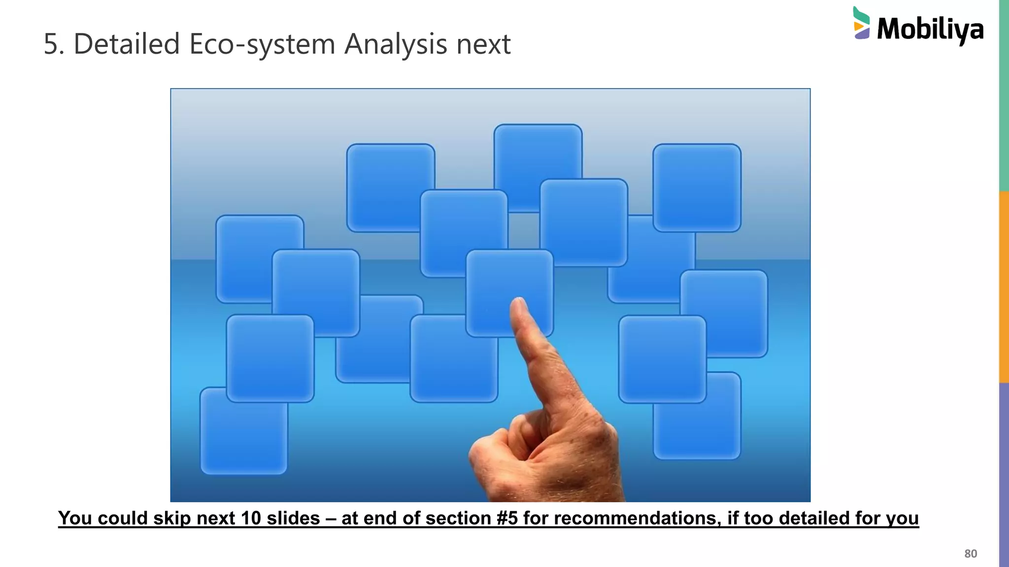 80
5. Detailed Eco-system Analysis next
You could skip next 10 slides – at end of section #5 for recommendations, if too detailed for you
 