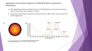 Absorption and emission Spectra of CdSe/ZnS QDs compared to
Rhodamine
 The absorption spectrum (dashed lines) of the QD (green) is very broad, whereas
that of the organic die (orange) is narrow.
 Conversely, the emission spectrum (solid lines) of the QD is more narrow than that
of the organic die
• Jyoti K. Jaiswal and Sanford M. Simon. Potentials and pitfalls of fluorescent quantum
dots for biological imaging. TRENDS in Cell Biology Vol.14 No.9 September 2004
 