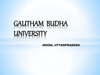 -NOIDA, UTTARPRADESH
GAUTHAM BUDHA
UNIVERSITY
 