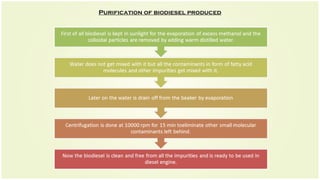 Purification of biodiesel produced
 