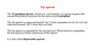 Trp operon
The Tryptophan operon, found in E. coli bacteria, is a group of genes that
encode biosynthetic enzymes for the amino acid tryptophan.
The trp operon is expressed (turned “on”) when tryptophan levels are low and
repressed (turned “off”) when they are high.
The trp operon is regulated by the trp repressor. When bound to tryptophan,
the trp repressor blocks expression of the operon.
It is also called Repressible operon.
 