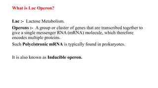What is Lac Operon?
Lac :- Lactose Metabolism.
Operons :- A group or cluster of genes that are transcribed together to
give a single messenger RNA (mRNA) molecule, which therefore
encodes multiple proteins.
Such Polycistronic mRNA is typically found in prokaryotes.
It is also known as Inducible operon.
 