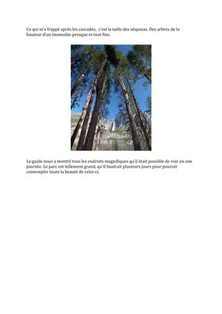 Ce qui m’a frappé après les cascades, c’est la taille des séquoias. Des arbres de la
hauteur d’un immeuble presque et tout fins.




Le guide nous a montré tous les endroits magnifiques qu’il était possible de voir en une
journée. Le parc est tellement grand, qu’il faudrait plusieurs jours pour pouvoir
contempler toute la beauté de celui-ci.
 