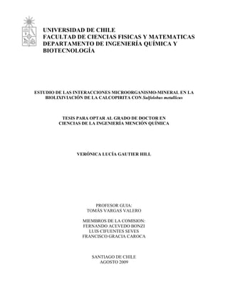 UNIVERSIDAD DE CHILE
FACULTAD DE CIENCIAS FISICAS Y MATEMATICAS
DEPARTAMENTO DE INGENIERÍA QUÍMICA Y
BIOTECNOLOGÍA
ESTUDIO DE LAS INTERACCIONES MICROORGANISMO-MINERAL EN LA
BIOLIXIVIACIÓN DE LA CALCOPIRITA CON Sulfolobus metallicus
TESIS PARA OPTAR AL GRADO DE DOCTOR EN
CIENCIAS DE LA INGENIERÍA MENCIÓN QUÍMICA
VERÓNICA LUCÍA GAUTIER HILL
PROFESOR GUIA:
TOMÁS VARGAS VALERO
MIEMBROS DE LA COMISION:
FERNANDO ACEVEDO BONZI
LUIS CIFUENTES SEVES
FRANCISCO GRACIA CAROCA
SANTIAGO DE CHILE
AGOSTO 2009
 