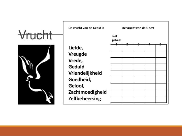 gaven en vruchten van de geest - workshop youth alpha