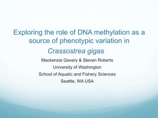 Exploring the role of DNA methylation as a source of phenotypic variation in Crassostrea gigas Mackenzie Gavery & Steven Roberts University of Washington School of Aquatic and Fishery Sciences Seattle, WA USA 