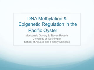 DNA Methylation & Epigenetic Regulation in the Pacific Oyster  Mackenzie Gavery & Steven Roberts University of Washington School of Aquatic and Fishery Sciences 