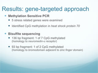 Results: gene-targeted approach Methylation Sensitive PCR 5 stress related genes were examined Identified CpG methylation in  heat shock protein 70 Bisulfite sequencing 136 bp fragment: 1 of 7 CpG methylated  (homology to  neuromedin-u receptor ) 93 bp fragment: 1 of 2 CpG methylated  (homology to  bromodomain adjacent to zinc finger domain ) 
