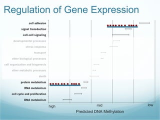 Regulation of Gene Expression high mid low Predicted DNA Methylation 