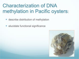 Characterization of DNA methylation in Pacific oysters : describe distribution of methylation elucidate functional significance 