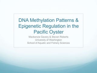 DNA Methylation Patterns & Epigenetic Regulation in the Pacific Oyster  Mackenzie Gavery & Steven Roberts University of Washington School of Aquatic and Fishery Sciences 