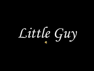 Little Guy 