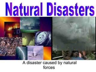 A disaster caused by natural forces  Natural Disasters 