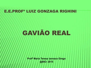 E.E.PROFº LUIZ GONZAGA RIGHINI
GAVIÃO REAL
Profª Maria Teresa iannaco Grego
@BIO- 2015
 